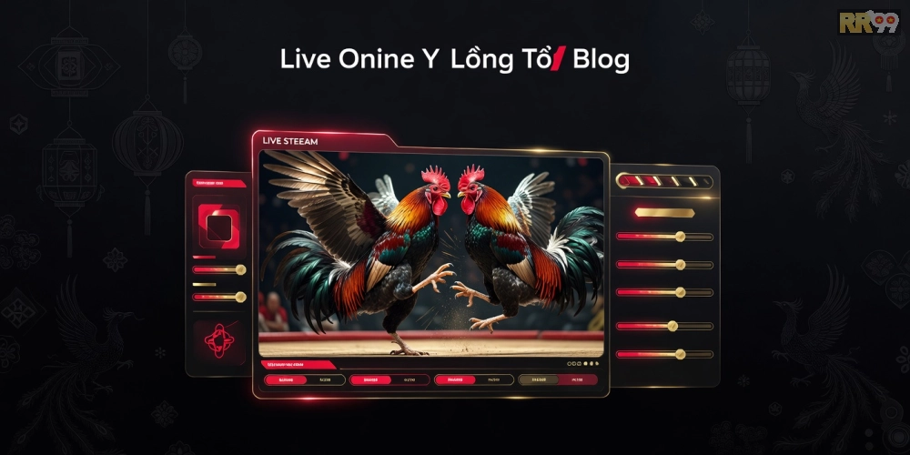 Minh họa giao diện xem đá gà trực tiếp trên nền tảng rr99 với chất lượng HD sắc nét